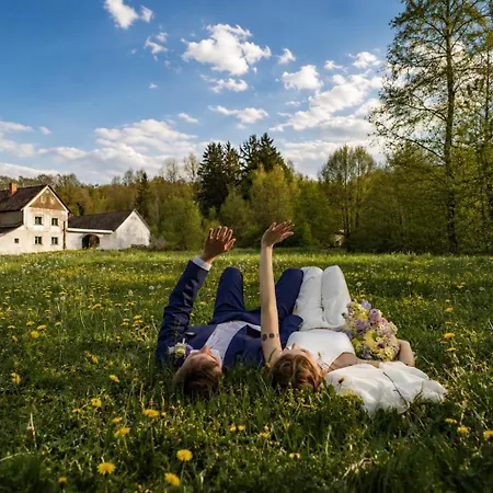 Luxusní stan Glamping Hive By Stream Viska (Plzen-South)