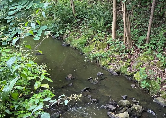 Glamping Hive By Stream Οργανωμένο κάμπινγκ