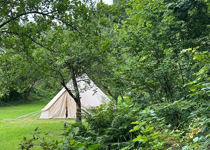 Glamping Hive By Stream Οργανωμένο κάμπινγκ
